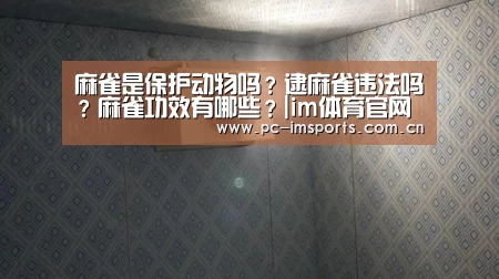 麻雀是保护动物吗？逮麻雀违法吗？麻雀功效有哪些？|im体育官网