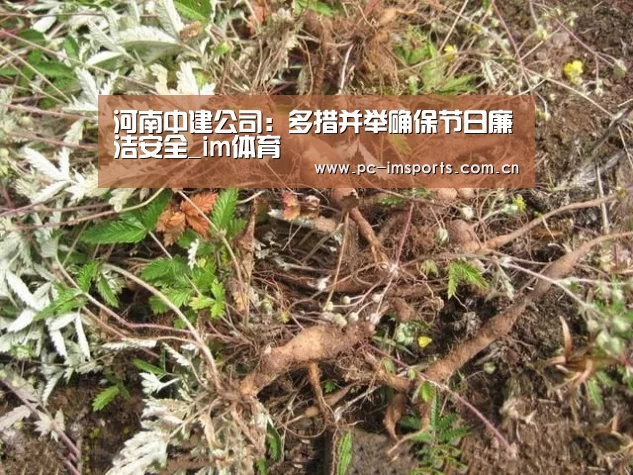 河南中建公司：多措并举确保节日廉洁安全_im体育