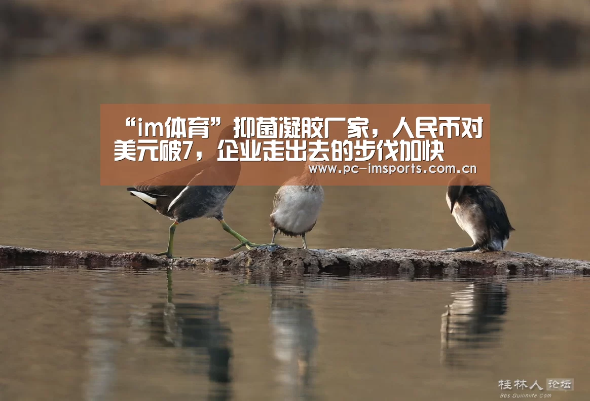 im体育官网