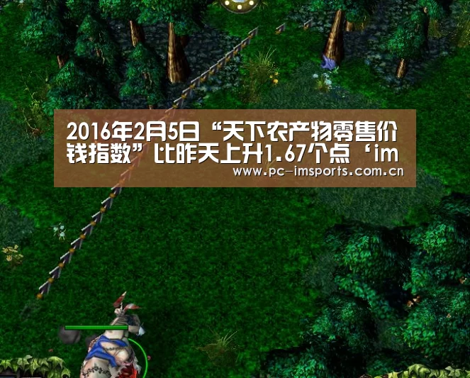 im体育