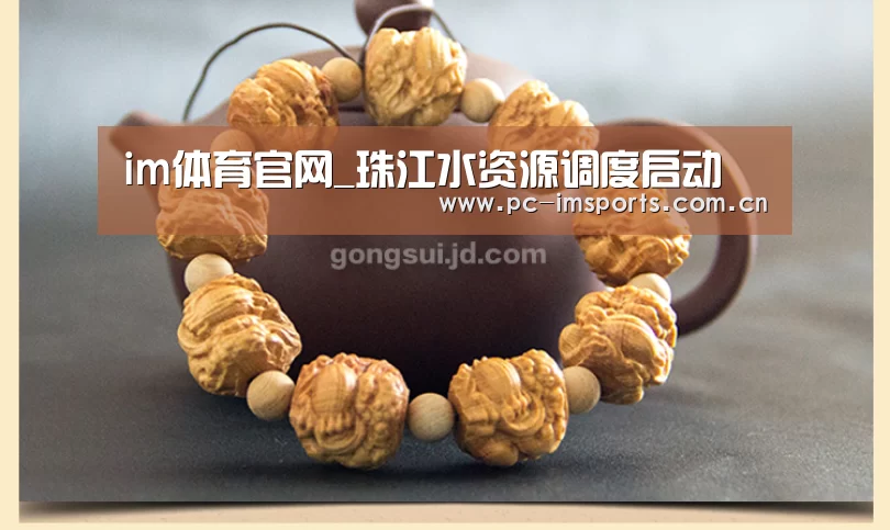im体育官网_珠江水资源调度启动(图2) im体育app