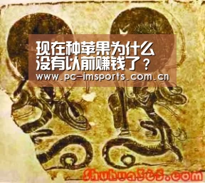 现在种苹果为什么没有以前赚钱了？听听他们怎么说【im体育app】
